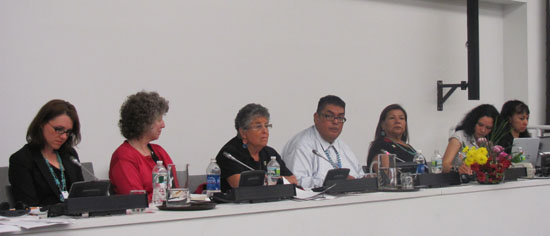 UN Permanent Forum on Indigenous Issues (May 25, 2011)